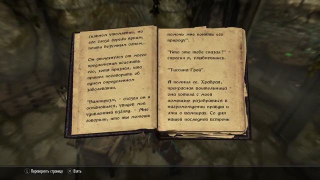 Skyrim * смотреть онлайн
