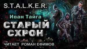 S.T.A.L.K.E.R. Старый схрон (аудиокнига). БОЕВАЯ ФАНТАСТИКА. Иван Тайга. Читает Роман Ефимов.