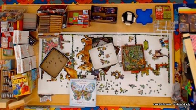 Day 585 January 5 2016  Wildlife 33600 pc Worlds Largest Jigsaw Puzzle