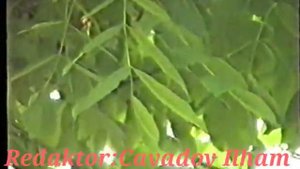 Gedebey asiqlari Qelender Zeynalov