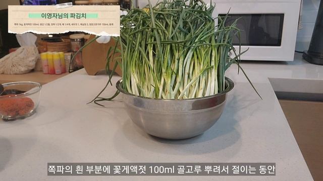SUB | 제주 감성 카페 가고 집밥 만들어 먹는 일상 | 이영자파김치, 연근샐러드, 경양식돈가스 смотреть онлайн