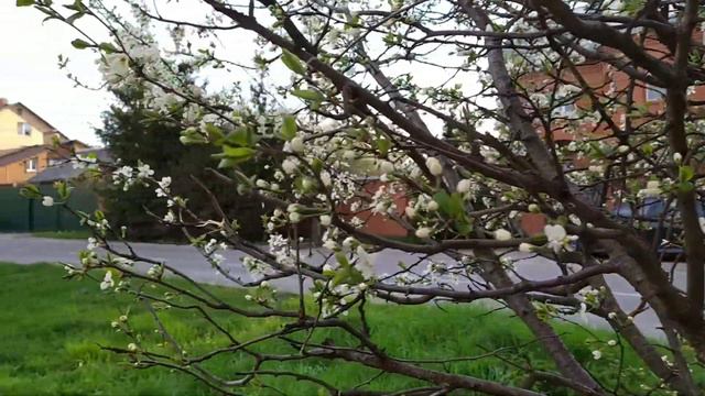 спасибо за этот май❤✨ смотреть онлайн