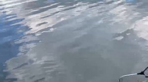 рыбалка с детьми