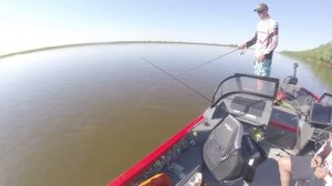 Рыбалка в Астраханской обл. База Альпийская деревня , поездка на отборPAL2020ловим судак,берш,окунь