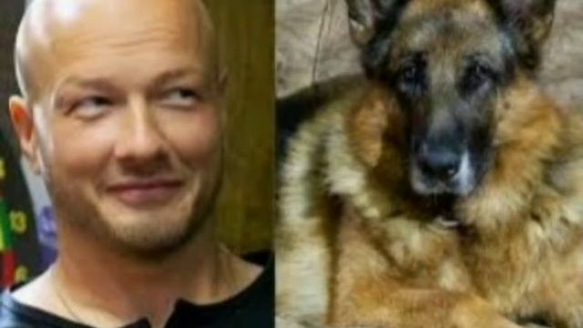 Музыка из сериала "Пёс" смотреть онлайн