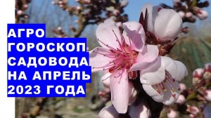 Агрогороскоп садовода на апрель 2023 года. Агрогороскоп садівника на квітень 2023 року