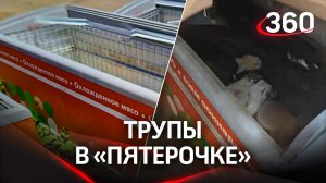 Трупы в холодильнике "Пятерочки" - в Самаре накрыли гаражный морг