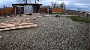 Замес волков в клетке ! Кияра пропала !! Строим волкам тропинку. Агоп устроился на заправку. Питбул