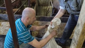 Постоянный клиент приехал за дюрками