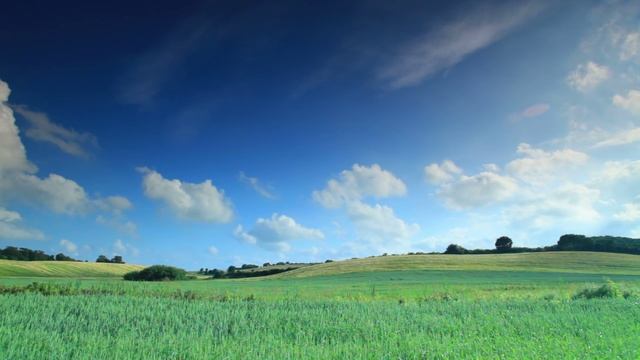 Красивое Поле HD смотреть онлайн