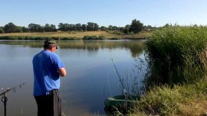 Ловля толстолобика на резинку с  самоподсекающей удочкой