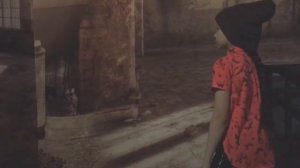 Это моя Территория! - Алиса знает!