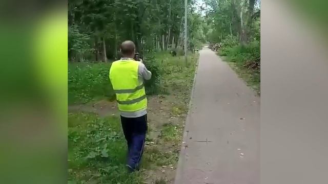 Медвежонок