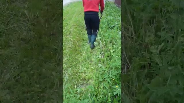 Газонокосилка Fubag #дача #инструмент #дом #сад #участок смотреть онлайн