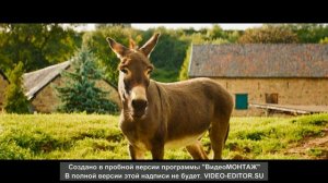 Мисс Дулиттл (фрагмент)