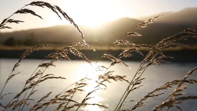 Сказки для детей. Красный сарафан. Сказки которые учат добру. Сказкотерапия смотреть онлайн