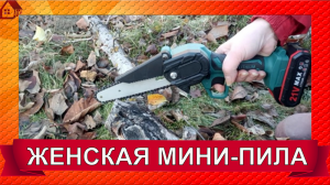 На все случаи жизни - цепная аккумуляторная мини пила для дачи, гаража, похода, шашлыка. Женская!