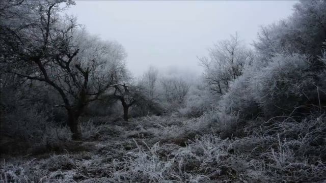 Agalloch - Celestial Effigy