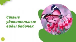 Шаблон презентации по биологии