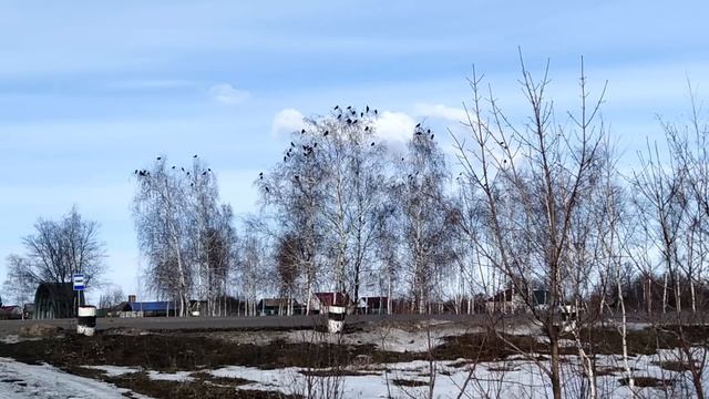 8 марта ДЕНЬ ИОАННА.Особые запреты.Почему хлеб нужно ломать руками.