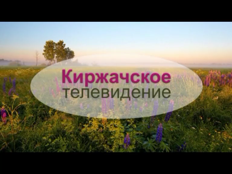 Дворы для детворы 