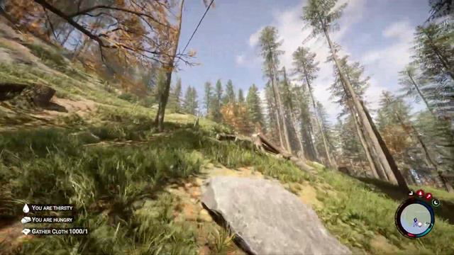[S1E01] Dusting Off My First Server | Sons of the Forest Live