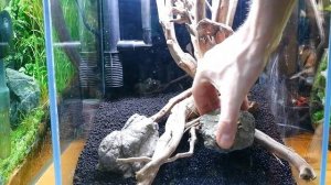 НОВЫЙ СКЕЙП | АКВАРИУМ КУБИК 30СМ | NEW SCAPE CUBE AQUARIUM 30CM | TUTORIAL