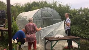 Теплица с плёнкой "Светлица" введена в эксплуатацию.