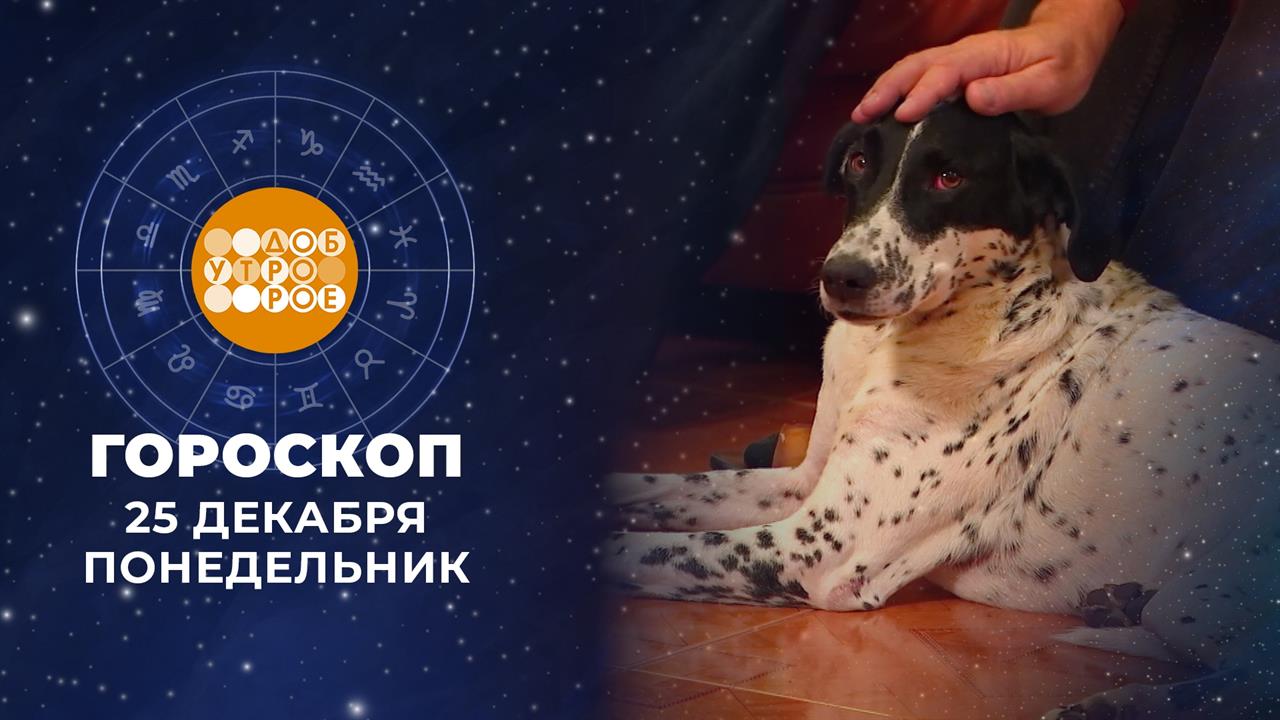 Гороскоп на 25 декабря. Доброе утро. Фрагмент выпуска от 25.12.2023