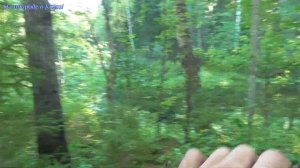 Поход на лодке за ягодами  /2 часть/