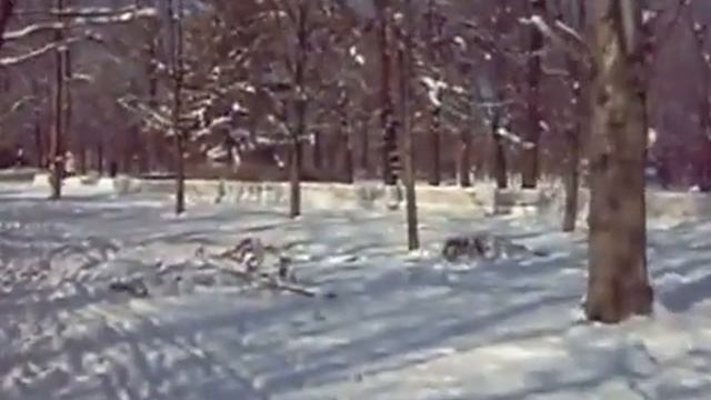 Критикам канала "Днепродзержинск сегодня" и 25$ за срочный заказ ролика из Днепродзержинска смотреть онлайн