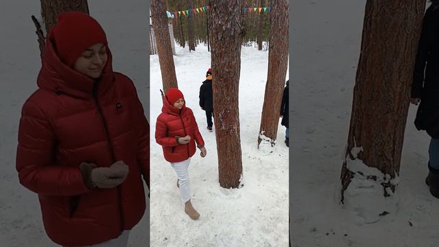 Три сосны..