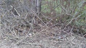 23 ноября 2018 года - торчащая арматура из бетонных плит на проезжей части