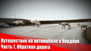 Путешествие на автомобиле в Нордкап. Часть 7. Обратная дорога