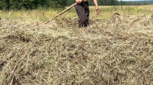 Уборка сена!