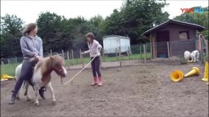 Pony's premiere ride and buck