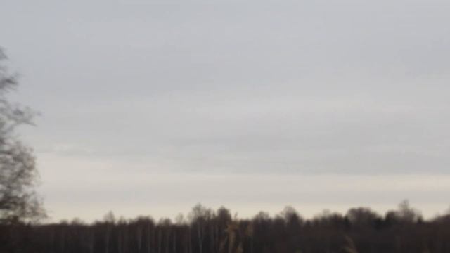 Утренняя зорька на утку смотреть онлайн