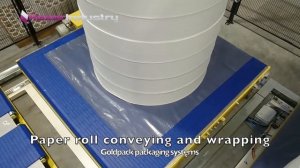 Транспортная система и упаковка бумажных рулонов (Goldpack, Словения)
