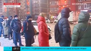 Человейник. Пригород Лесное. Мисайлово