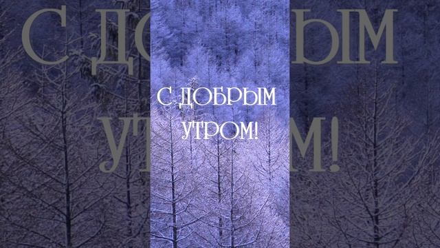 Красивый ролик с добрым утром | SunPikRu смотреть онлайн