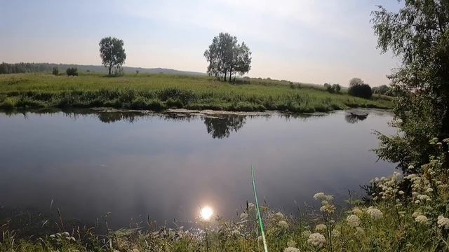 Зарубились с отцом на бутылку. Голавль на хлеб, простая снасть для реки смотреть онлайн