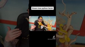 Green tree python facts!