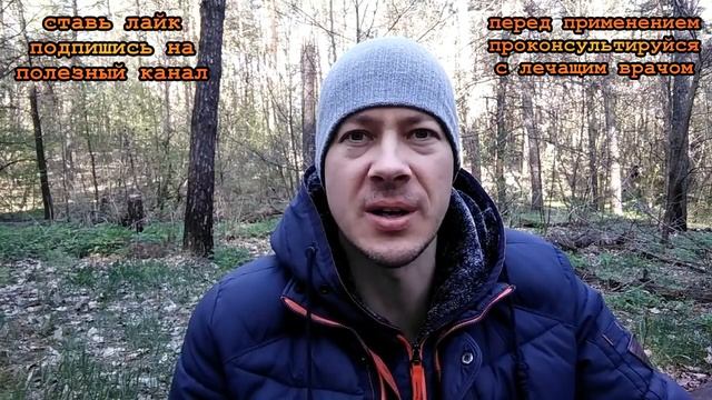 ★Как ЛЕЧИТЬ ПЕЧЕНЬ народными средствами. Чистка печени кукурузными рыльцами, куркумой, чесноком.