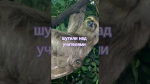 пой эту песню если: версия про одноклассников