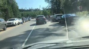 Выборгский район Ленинградской области п.Ильичево - ПАНДЕМИЯ!!!!
