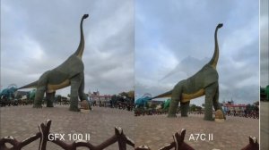 FUJIFILM GFX 100 II VS Sony A7C II | Camera Test