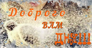 С ДОБРЫМ ЗИМНИМ ДНЕМ! Доброго Дня Отличного Настроения