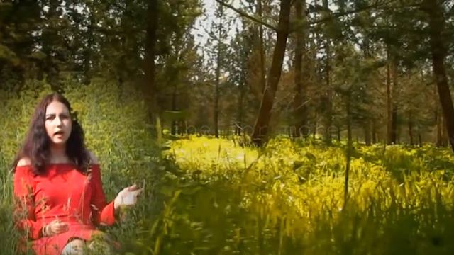 Л. Костенко Ліс був живий виконує Грінчук Ксенія студія "ЛІТУС" смотреть онлайн