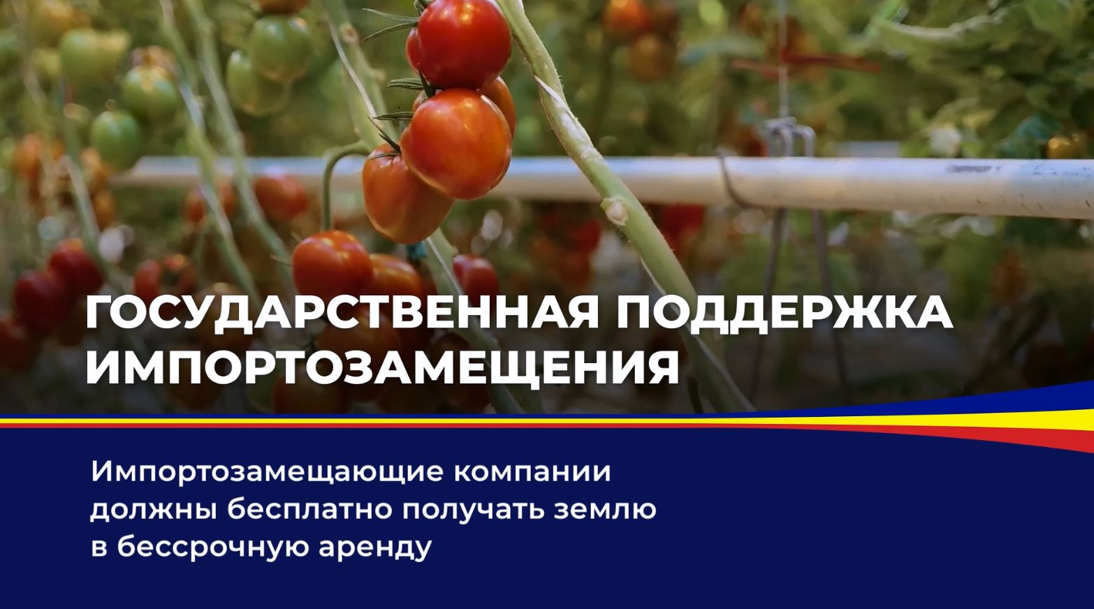 Государственная поддержка импортозамещения
