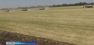На Ставрополье растут темпы уборки зерновых